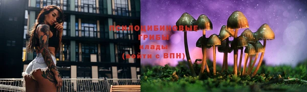 Альфа ПВП Белокуриха