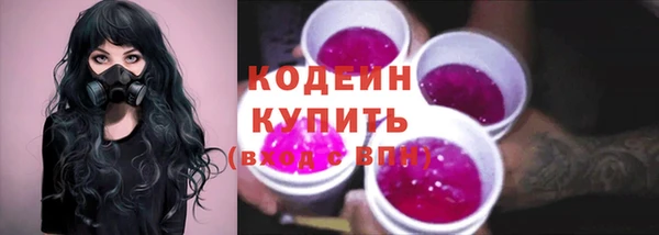 прущие грибы Беломорск