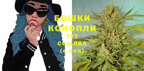 Альфа ПВП Белокуриха