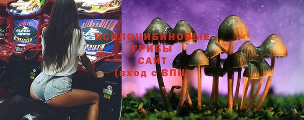 а пвп мука Осинники
