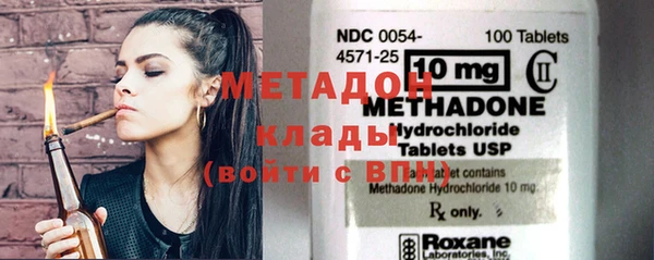 прущие грибы Беломорск