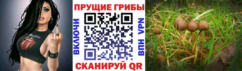 Псилоцибиновые грибы ЛСД  Краснотурьинск 